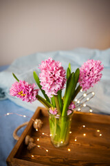 Obraz na płótnie Canvas Beautiful pink hyacinths stand in a vase on an old wooden tray, garland, beautiful flickering