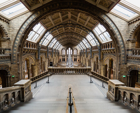 London, UK: Interior Of Natural History Museum 