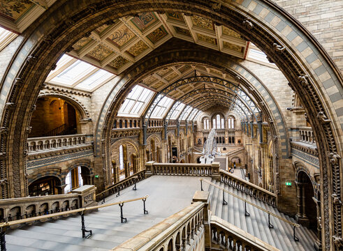 London, UK: interior of Natural history museum 