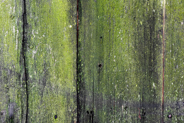 Obraz premium Wooden texture with scratches and cracks. It can be used as a background