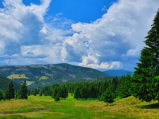 Fototapeta na wymiar Mountain View in the Carpathians