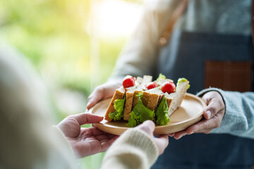 Closeup image of a waitress holding and serving whole wheat sandwich in wooden plate to customer