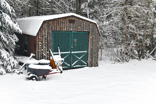 Rural Snowy Scene With Shed And Tools With Forest Background