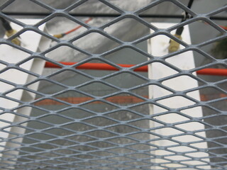 Obraz premium Barbed wire on the suspension bridge design for protection.