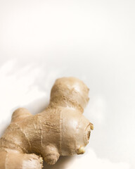 one ginger  on white background close up