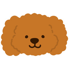 Toy Poodle simple flat colored