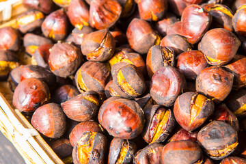 丹波産の焼き栗