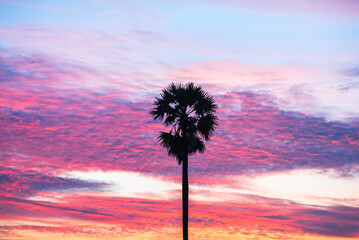 Colorful of twilight sky and cloud at sunset
