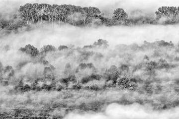 Misty morning landscape, black and white photography