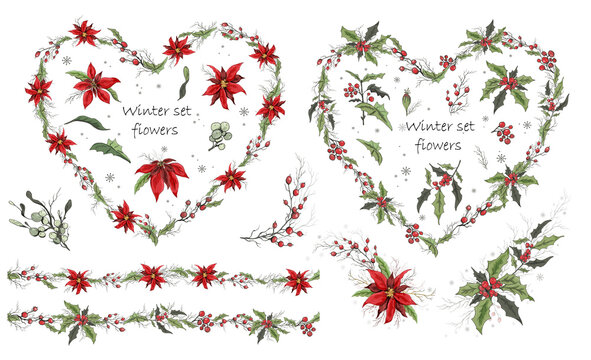 A set of winter flowers (poinsettia, mistletoe, Holly) isolated on a white background. realistic hand-drawn compositions of bouquets. decorations for seasonal cards, posters. Vintage style