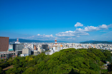 緑と和歌山市街の眺望