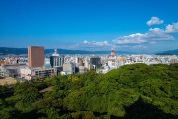 Fototapeta na wymiar 緑と和歌山市街の眺望