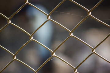 close up pattern Barb Steel fence Wire to protect wild life in zoo park in depth of field