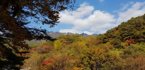 A mountain full of foliage1