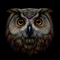 Uil met lange oren. Kleur, grafisch portret van een uil op een zwarte achtergrond. Digitale vectortekening