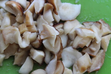 Pieces of fresh mushrooms. Macro. Russia.