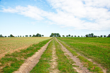 Obraz premium Rolling green agriculture field set against a clear sky in the German countryside.