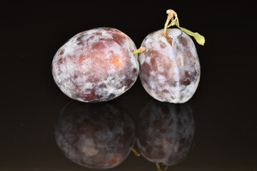 Ripe dark blue organic plums, close-up, on a black background.