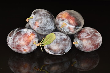 Ripe dark blue organic plums, close-up, on a black background.