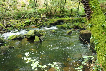 pequeño puente de piedra sobre el rio pambre, la coruña, galicia, españa, europa