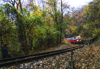 Naklejka premium Autumn in Buda Hills over Budapest 