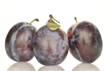 Ripe dark blue organic plums, close-up, on a white background.