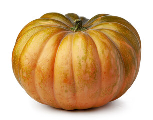 Studio shot of a pumpkin isolated on white background