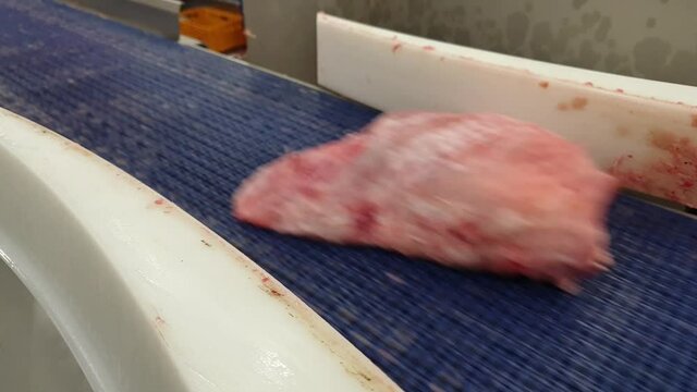 Turkey fillets on a conveyor belt at  poultry slaughterhouse. Naturally poor lighting conditions