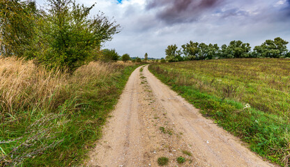 Fototapeta na wymiar Road in the countryside