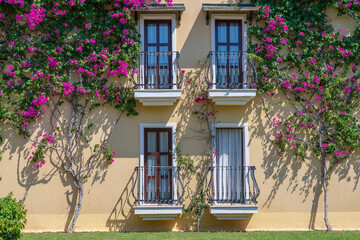 Fototapeta na wymiar Windows with balcony on building facade with cast iron ornaments and flower tree on the wall, Turkey
