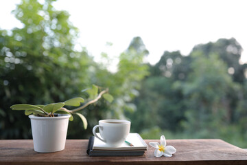 White coffee cup and and flower and plant pot with greenery view
