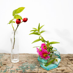 Autumn asters in small pharmacy bottles instead of vases on a long wooden bench