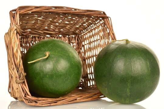 Two ripe organic watermelons, close-up, with a basket of vines, white background.