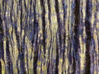 Obraz premium Rough skin of the bark Illustrations creates an impressionist style of painting.