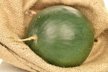 One ripe organic watermelon in a jute bag, close-up,.