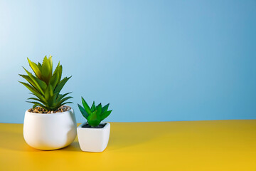 Two artificial succulents in white ceramic pots stand on a yellow background against a blue wall
