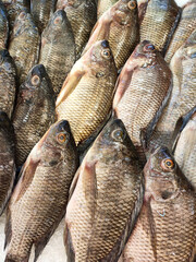 SEREMBAN, MALAYSIA -JANUARY 20, 2020: Various types of fish in the fish market are displayed for sale. Separated according to species and neatly arranged on ice.