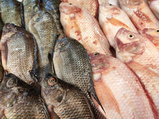 SEREMBAN, MALAYSIA -JANUARY 20, 2020: Various types of fish in the fish market are displayed for sale. Separated according to species and neatly arranged on ice.