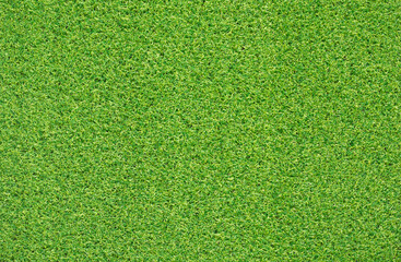 green grass background