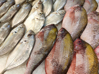 SEREMBAN, MALAYSIA -JANUARY 20, 2020: Various types of fish in the fish market are displayed for sale. Separated according to species and neatly arranged on ice.
