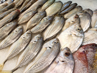 SEREMBAN, MALAYSIA -JANUARY 20, 2020: Various types of fish in the fish market are displayed for sale. Separated according to species and neatly arranged on ice.