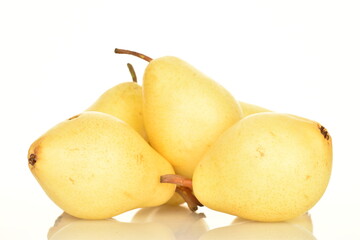 Ripe organic yellow-red pears, close-up, on a white background.