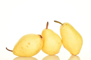 Ripe organic yellow-red pears, close-up, on a white background.
