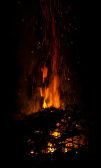 Night bonfire in the forest