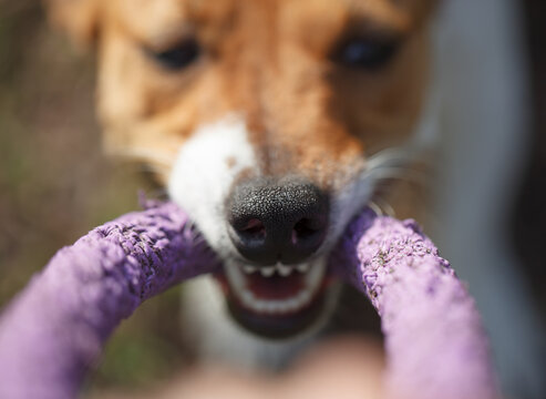 「Jrt」の画像 2,318 件の Stock 写真、ベクターおよびビデオ Adobe Stock