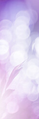 White Purple and pink light leaves blurred and blur natural abstract. Blurry morning . For wallpaper backdrop and background.
