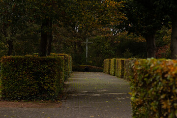 Cross alley plant cemetery green