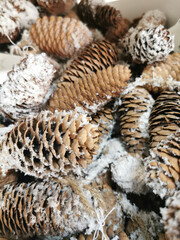 pine cones with silver shining and sparkling shapes