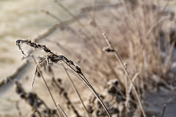 After the snow and frost setteled, a rich textured layer of ice was left. Nothing but cold and silence.