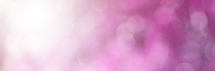 White Purple and pink light leaves blurred and blur natural abstract. Blurry morning . For wallpaper backdrop and background.
